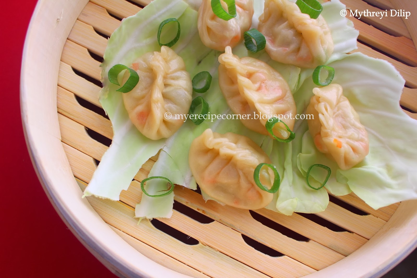 Mye's Kitchen Steamed Vegetable Wontons / Vegetable Momos Recipe