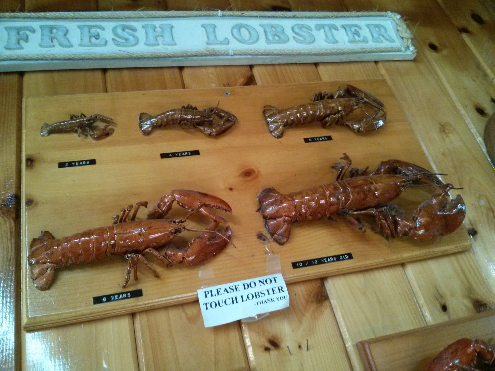 Eating Lobster Fisherman's Wharf Lobster Suppers (Prince Edward Island) Eating With Gordon