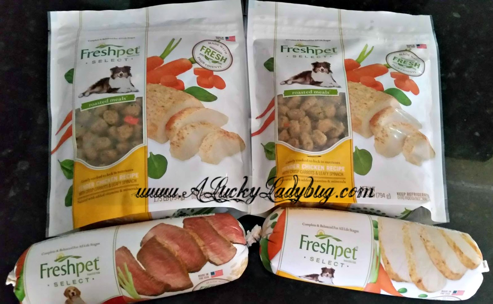 A Lucky Ladybug Fresh Pet Foods Review