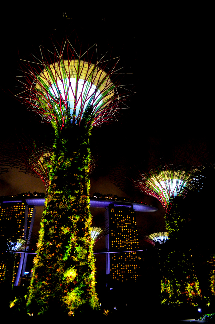 Supertree Grove, Gardens By The Bay