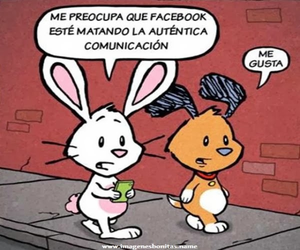 Imágenes Graciosas Chistosas Imagenes Bonitas De Amor - frases chistosas con imagenes gratis