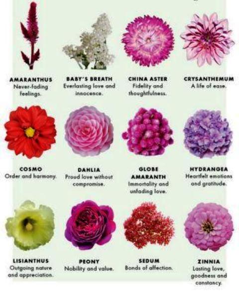 List Of Flower Names List Of Flower Names