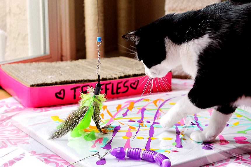 Cat Painting- This SIMPLE and fun art project can be done with your cat! Discover #JacksonGalaxyCatPlay by Petmate toys and enrichment tools at PetSmart and unleash your cat's inner Mojito! Foster a cat's natural instincts to hunt, catch, and kill with these colorful and engaging cat toys! #Sponsored