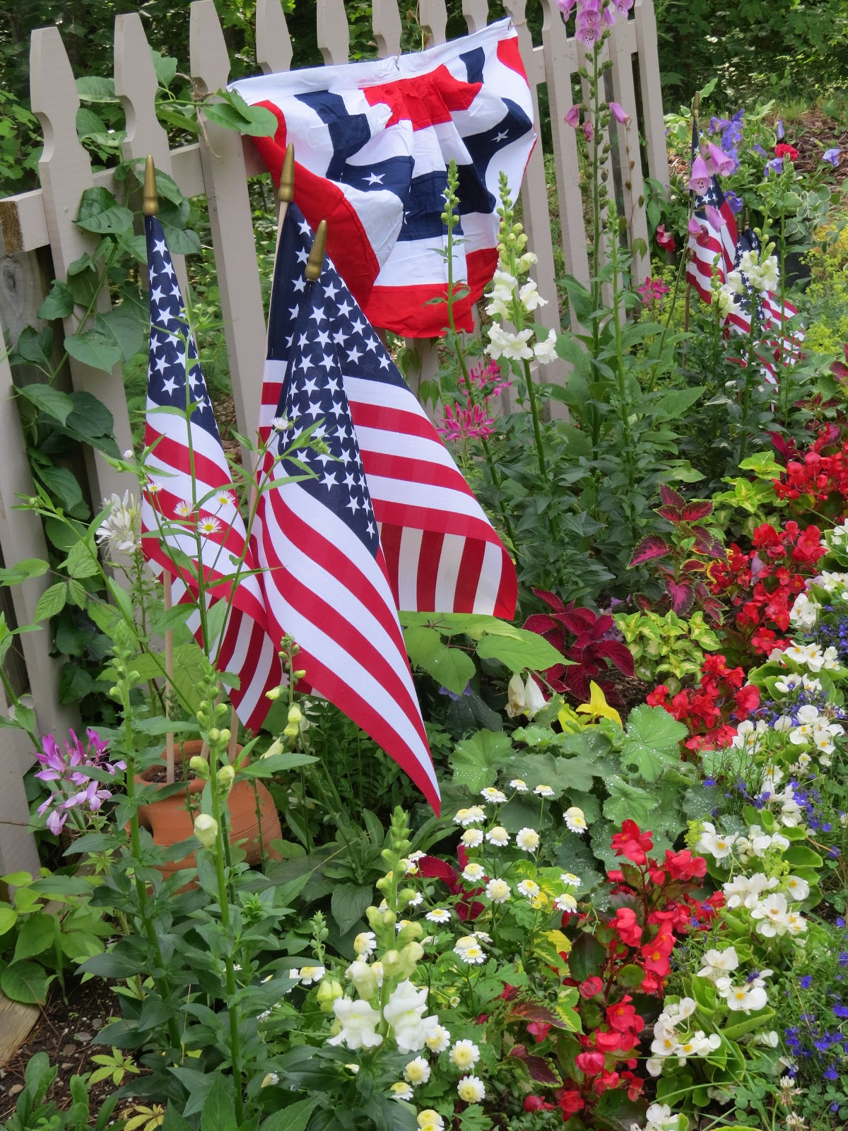 DesignsandEvents My Red, White and Blue Garden