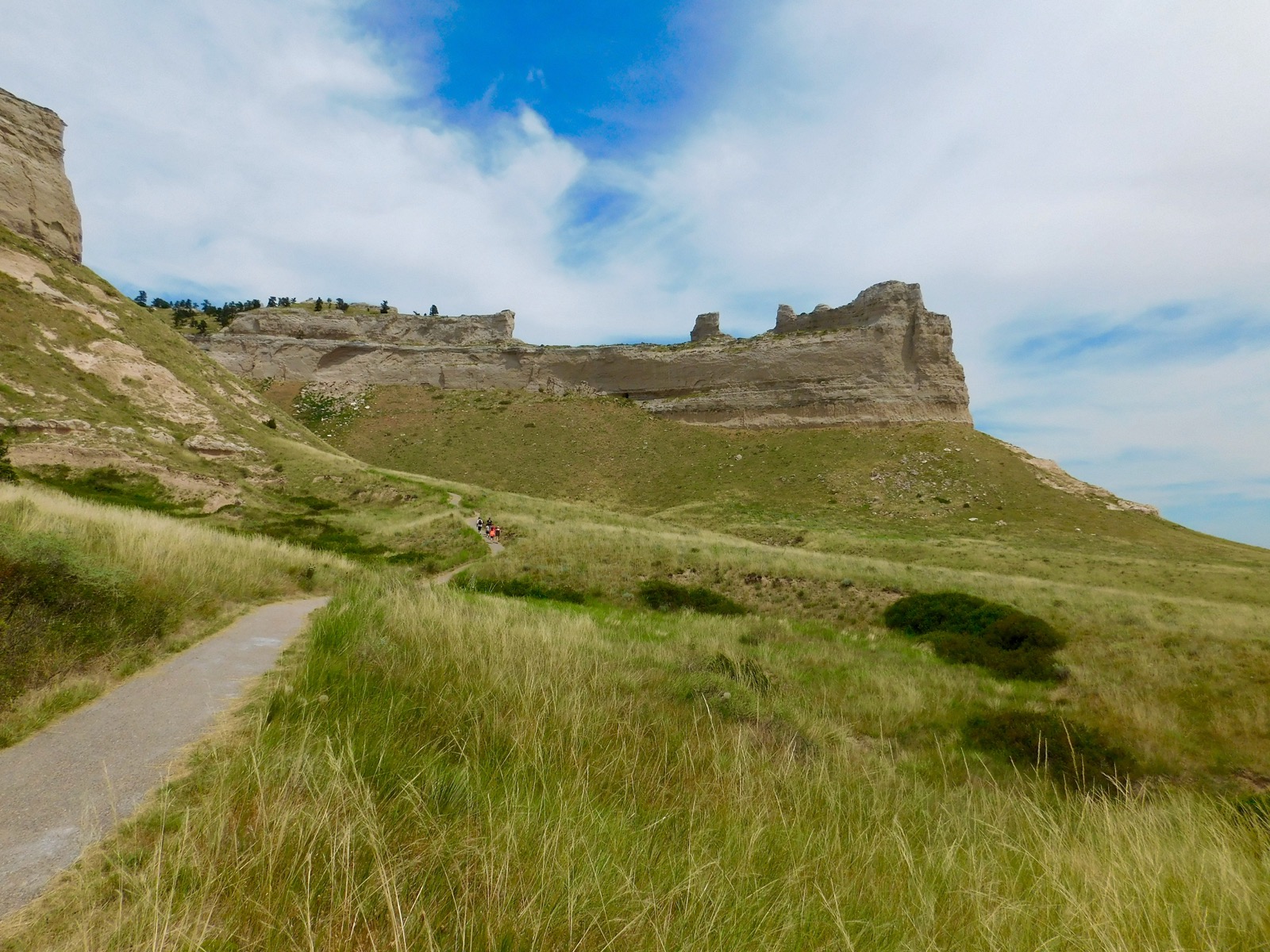 Impression Evergreen Saddle Rock The Wild West