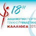 18η διαδημοτική γιορτή γενικής γυμναστικής - Καλλιθέα 2017