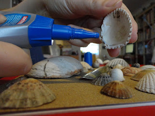 Glueing Seashells to Sandpaper