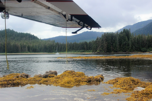 Chichagof Island, Alaska