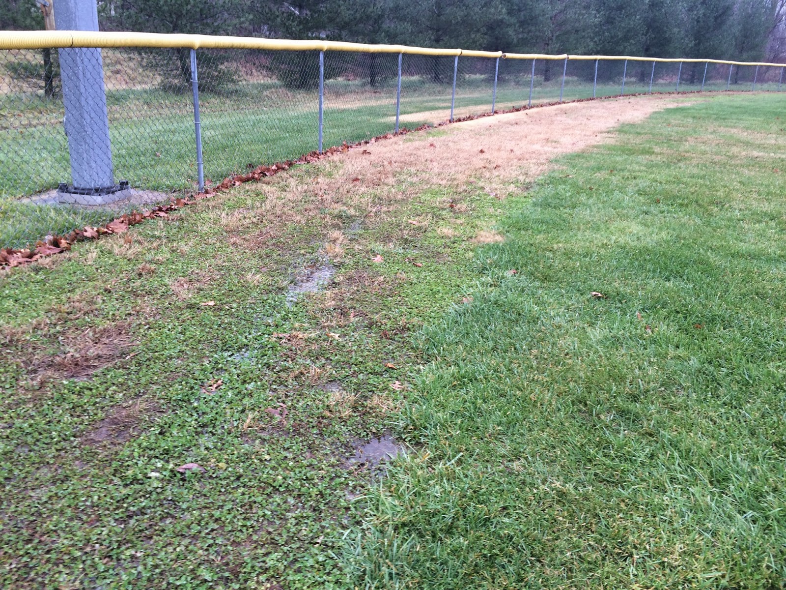 Smart Turf Baseball and Softball Warning Tracks Are They Necessary?