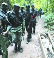 When the police arrived at the Ogwugwu Akpu, Ogwugwu Idigo and Ogwugwu Isiula shrines, decomposing corpses and skeletons in decaying coffins littered the two sides of the road When the police arrived at the Ogwugwu Akpu, Ogwugwu Idigo and Ogwugwu Isiula shrines, decomposing corpses and skeletons in decaying coffins littered the two sides of the road