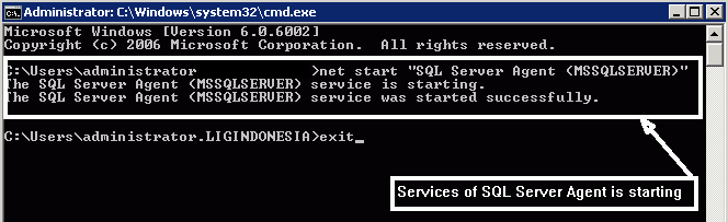sharing: How To Start or Stop Services SQL Server Agent