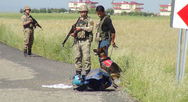 Aşağıkonak ile Yaprakbaşı arasındaki yola tuzaklanmış bomba düzeneği bulundu Aşağıkonak ile Yaprakbaşı arasındaki yola tuzaklanmış bomba düzeneği bulundu