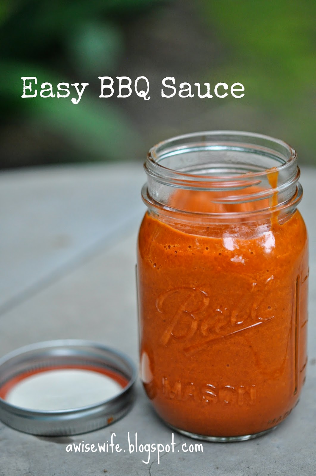 Life of a Wise Wife Easy Barbecue Sauce