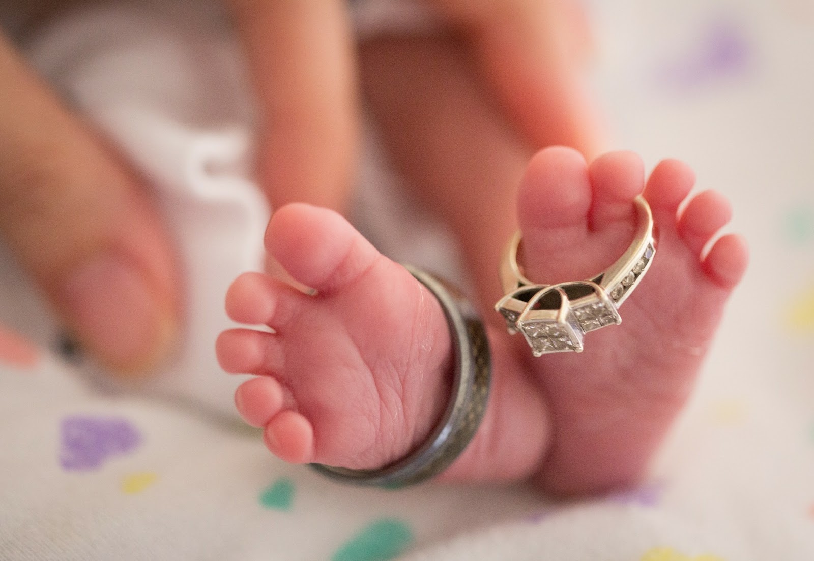 Meet Our Team Lorrie Ramseier