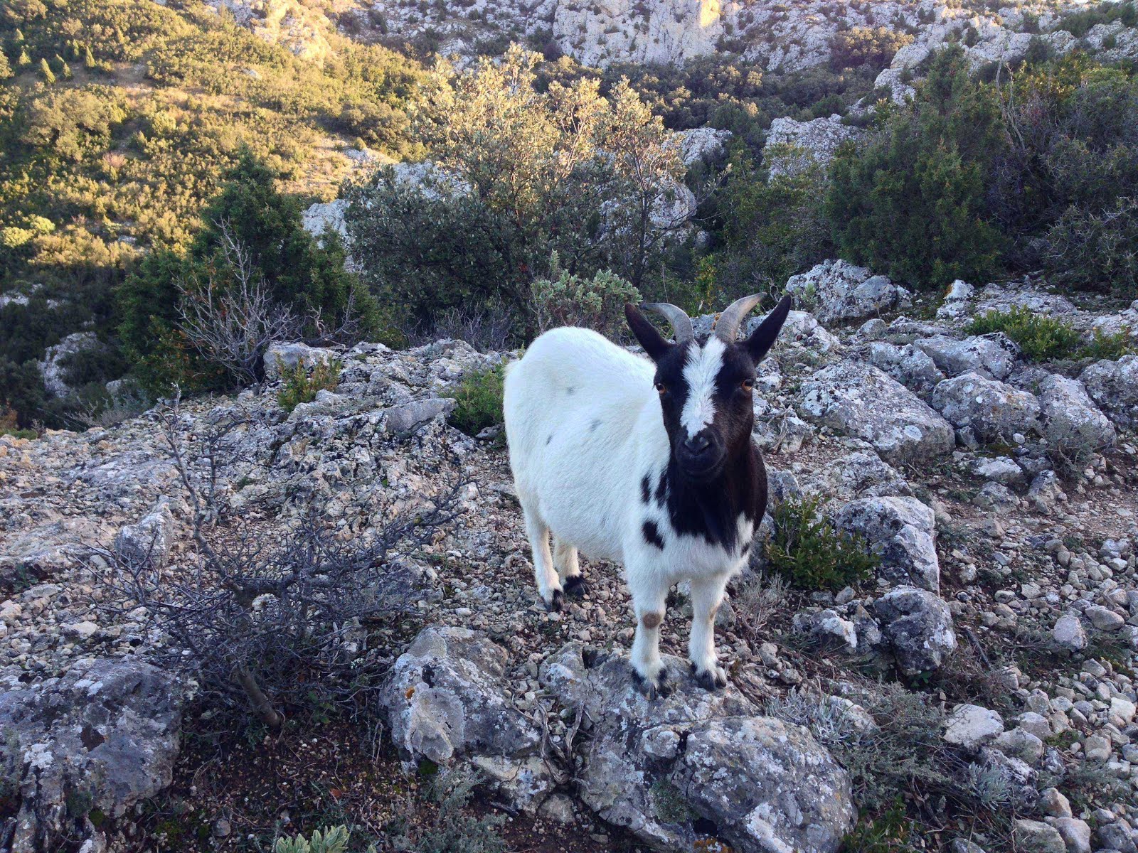 Le grenier du Faucon Entre Roquemaure et Pujaut en hiver 4 rencontre