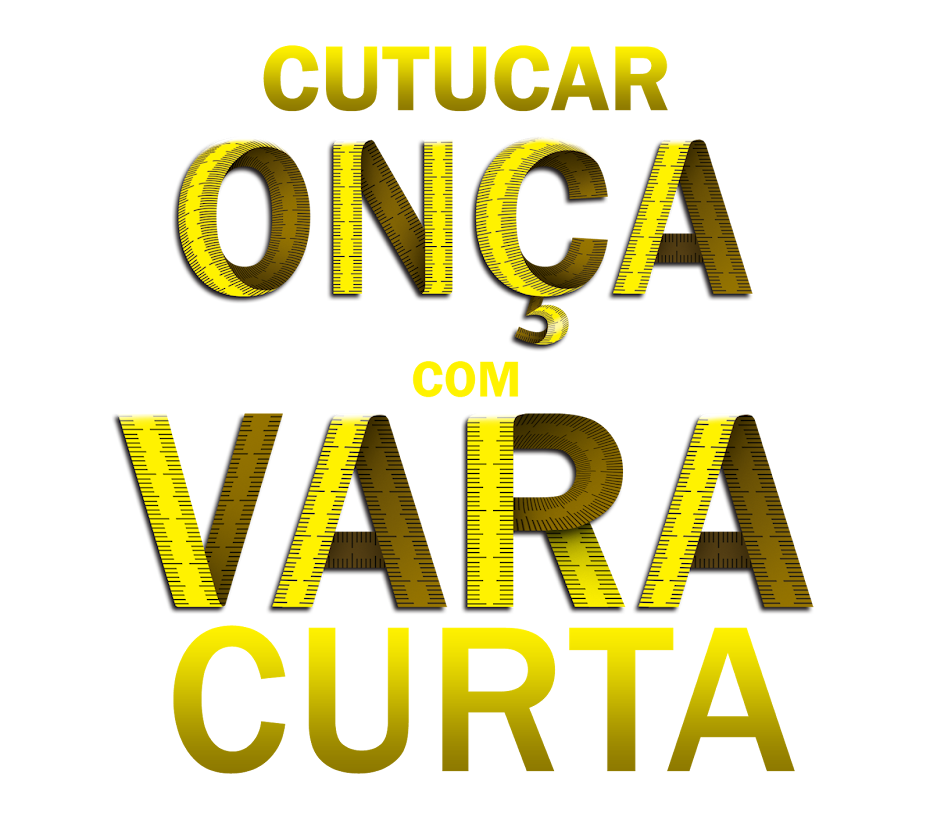 Cutucar a onça com vara curta