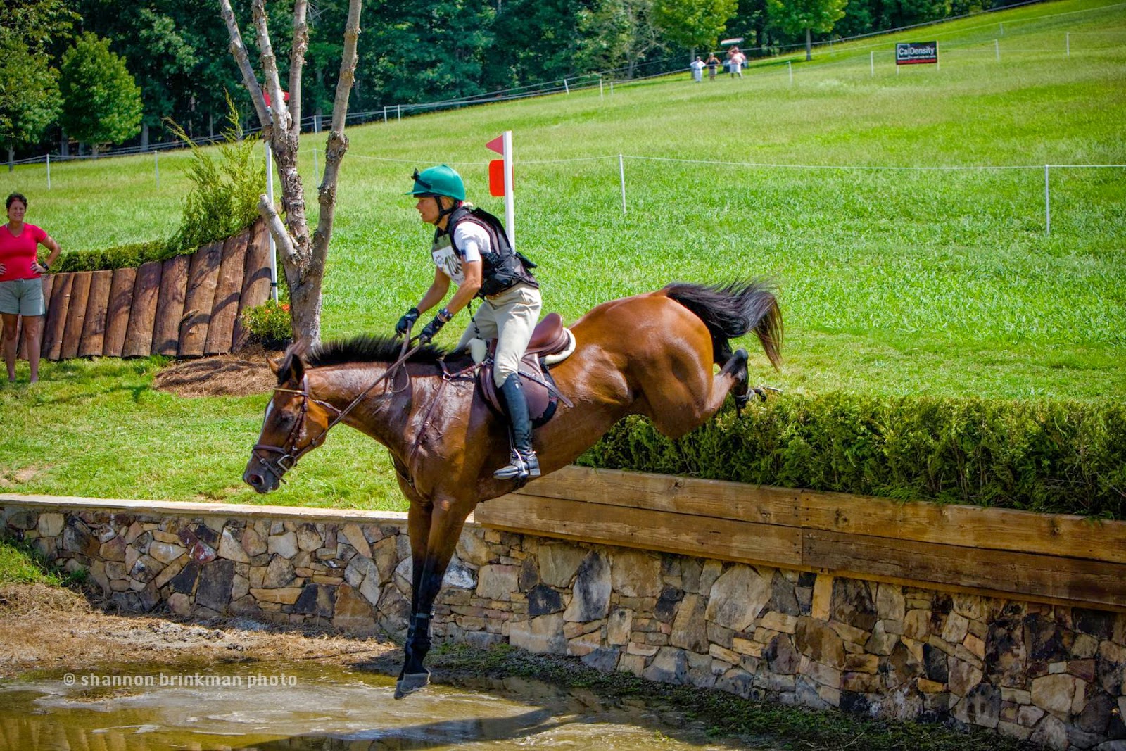 Southwind Farm, Inc. A Premier Horse Boarding Facility located in
