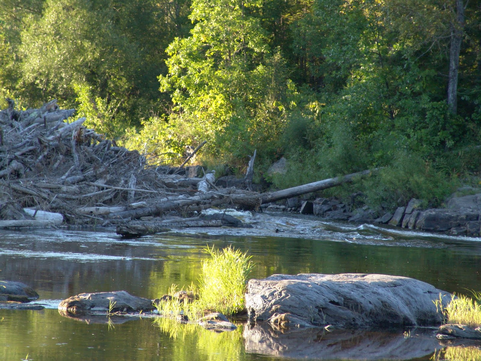 A beginning Bridge to International Falls