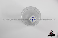 Jual alat sulap force dice Jual alat sulap force dice