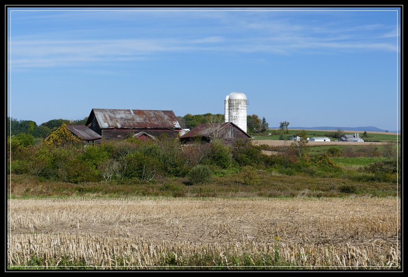 Part II of Our Autumn Visit to Amish Country in Upstate NY Life As I