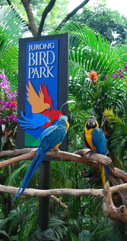 Jurong Bird Park. Jurong Bird Park.