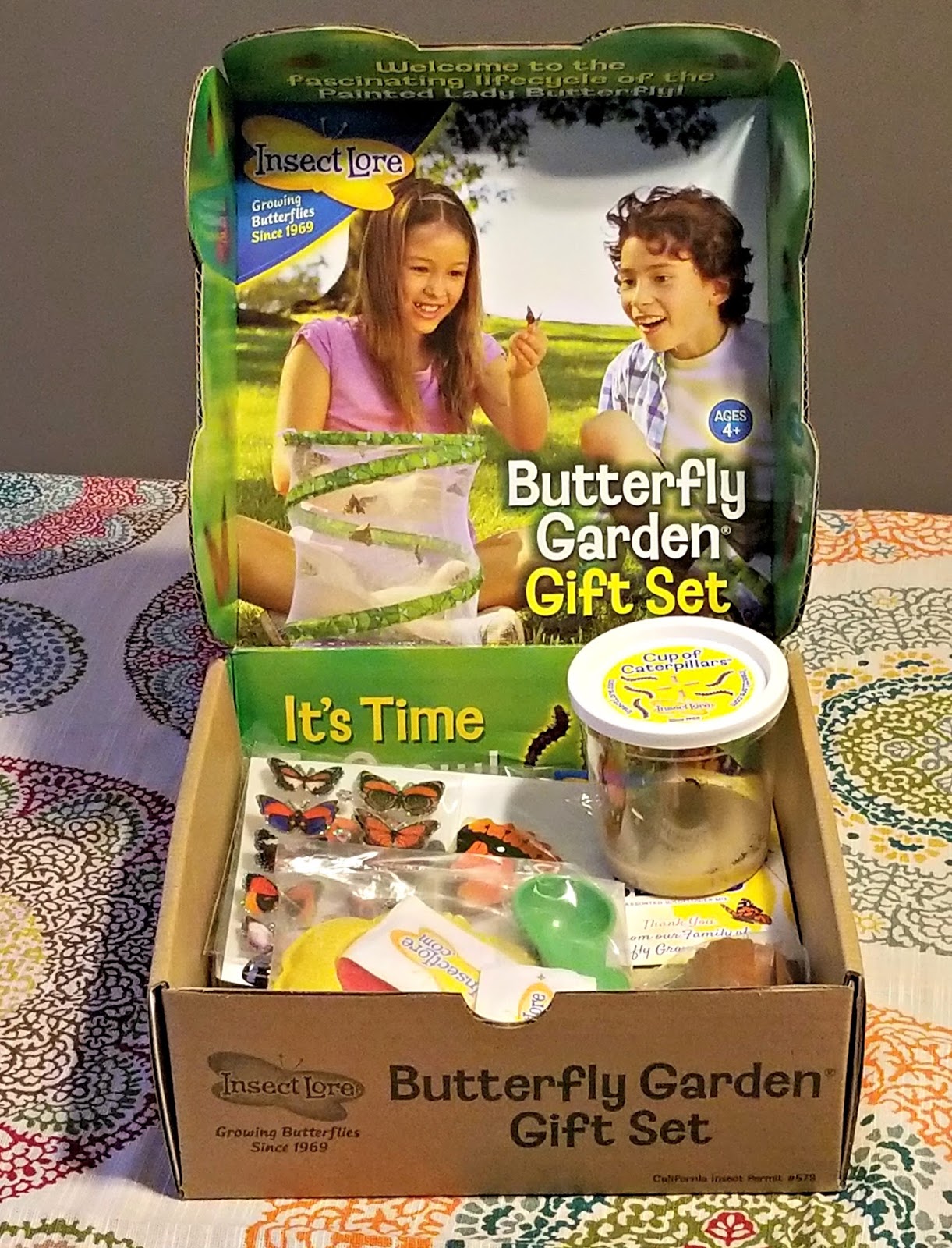 A GEEK DADDY INSECT LORE LIVE BUTTERFLY KITS