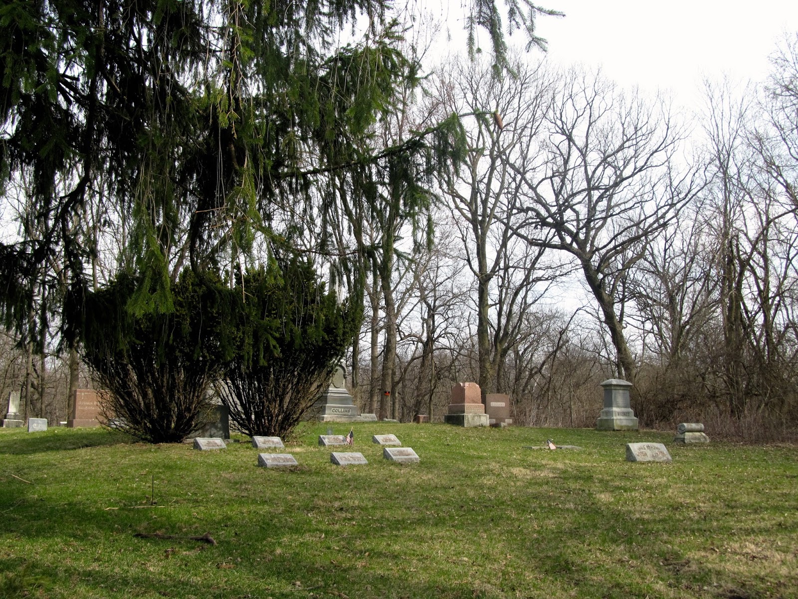 Aux Sable Cemetery · Minooka, IL Layne Joy