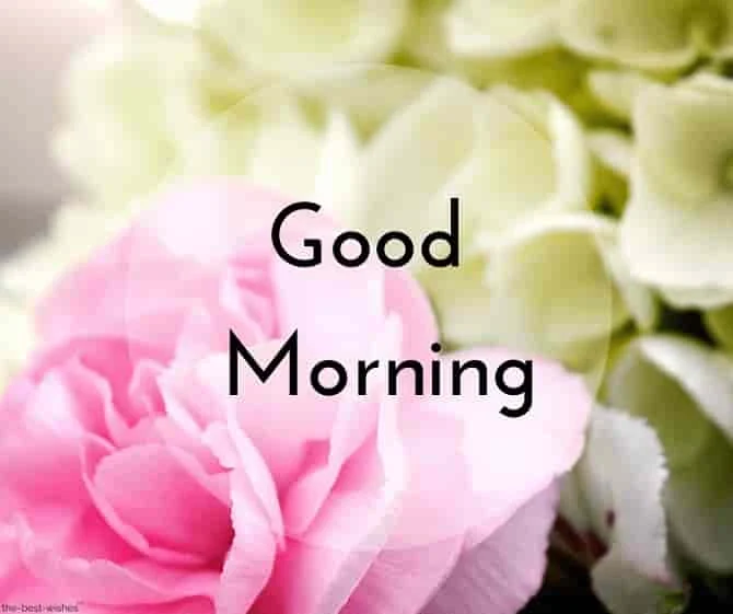 good morning image
