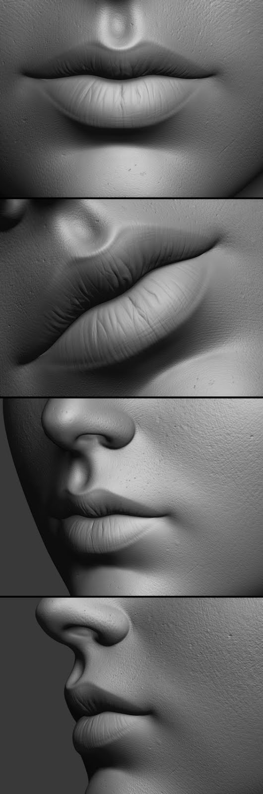 Reference Fiesta! Ears, nose, and lips