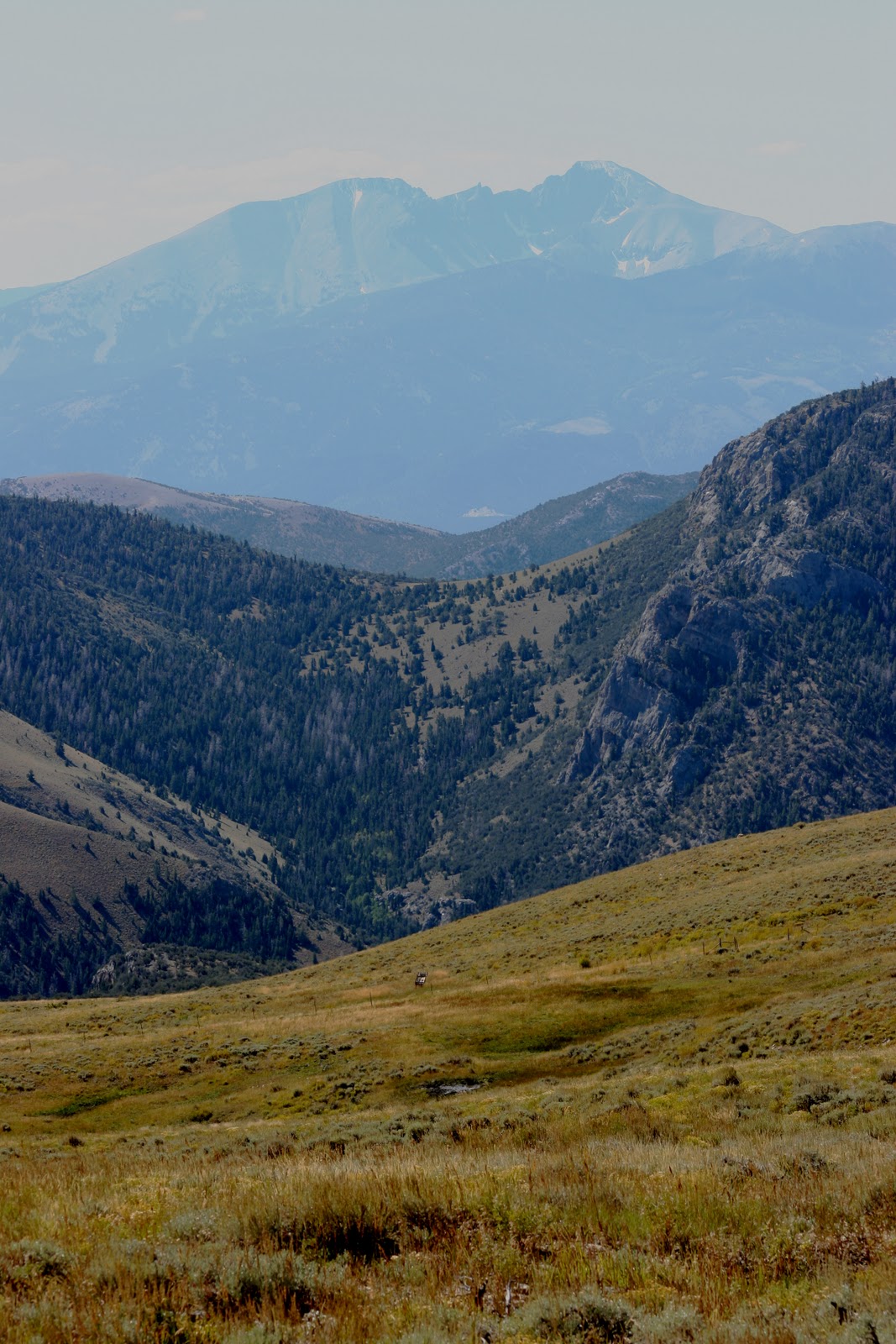 Great Basin Ute Mount Moriah, eastern Nevada