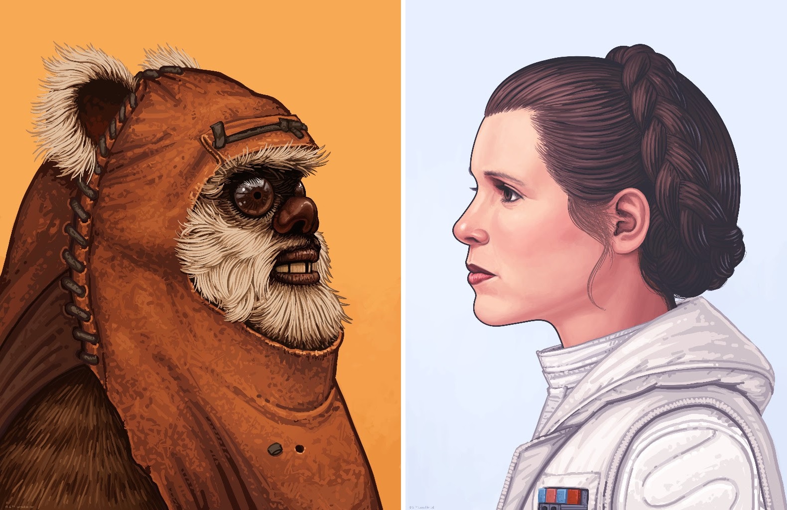 The Blot Says...: Star Wars Princess Leia & Wicket Portrait ...