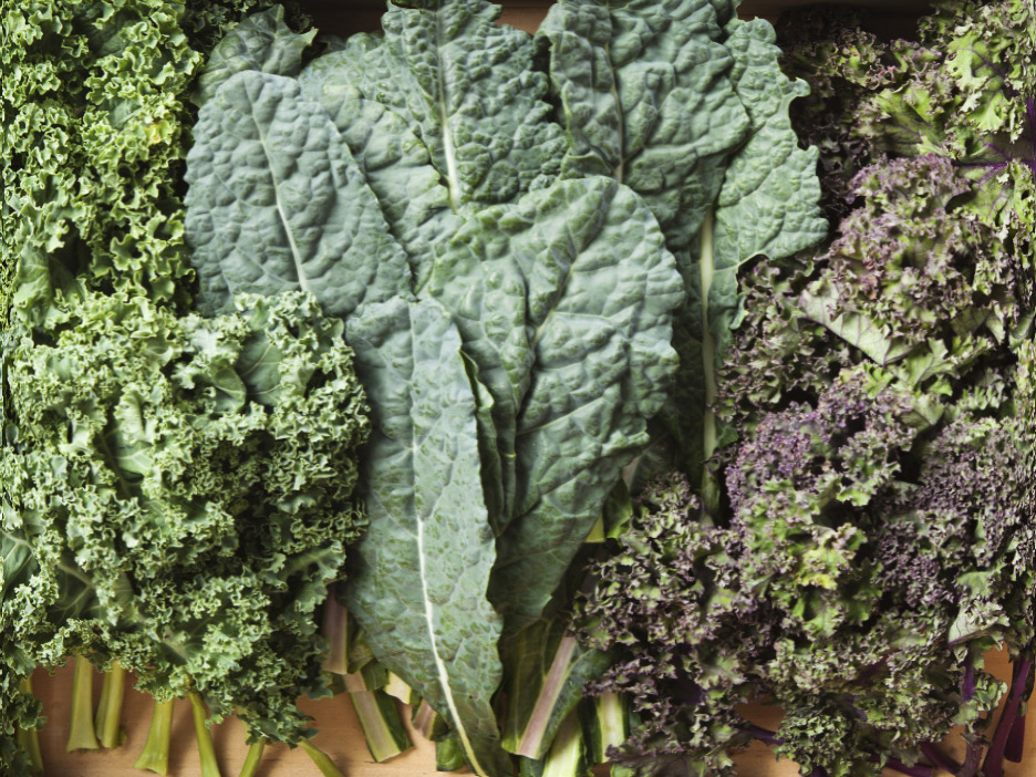 Culinary Physics How to Prepare Kale Chips Easily? Best Kale Chips Recipes