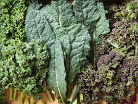 healthiest-type-of-kale