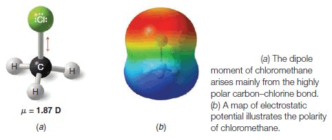 Polar and Nonpolar Molecules