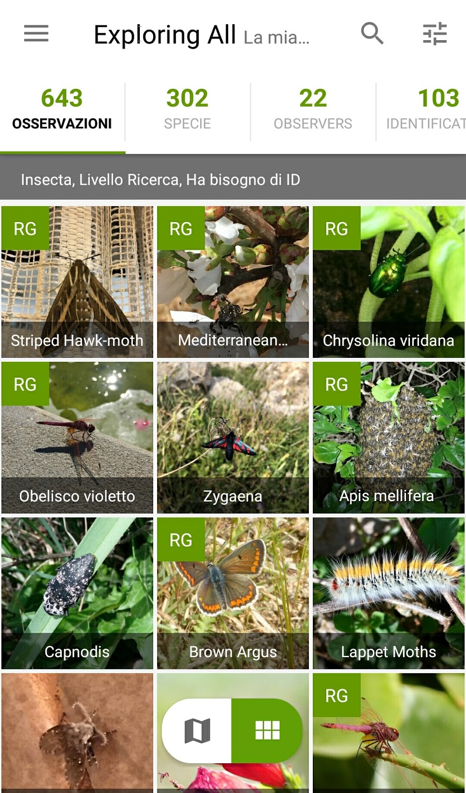 Le migliori app per riconoscere piante e insetti