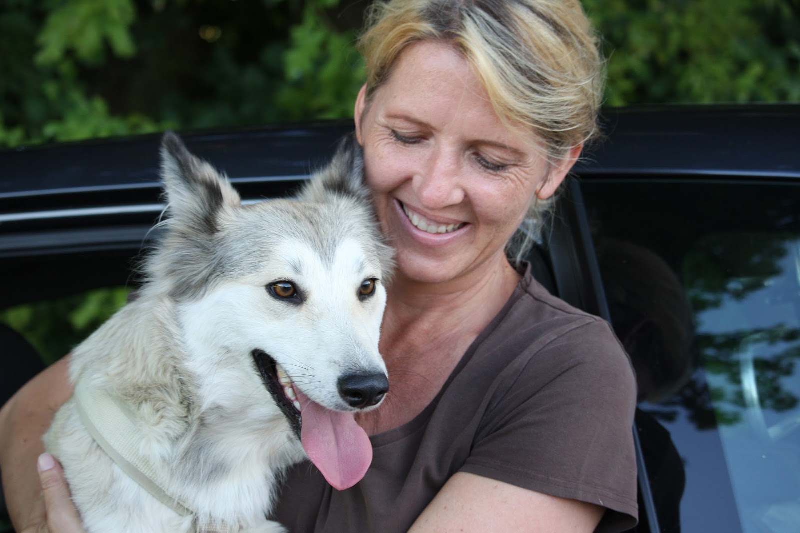 Schöne Aussichten für Hunde 2016