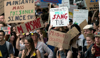 Manifestacion-contra Monsanto-Francia