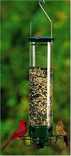 spinning squirrel proof bird