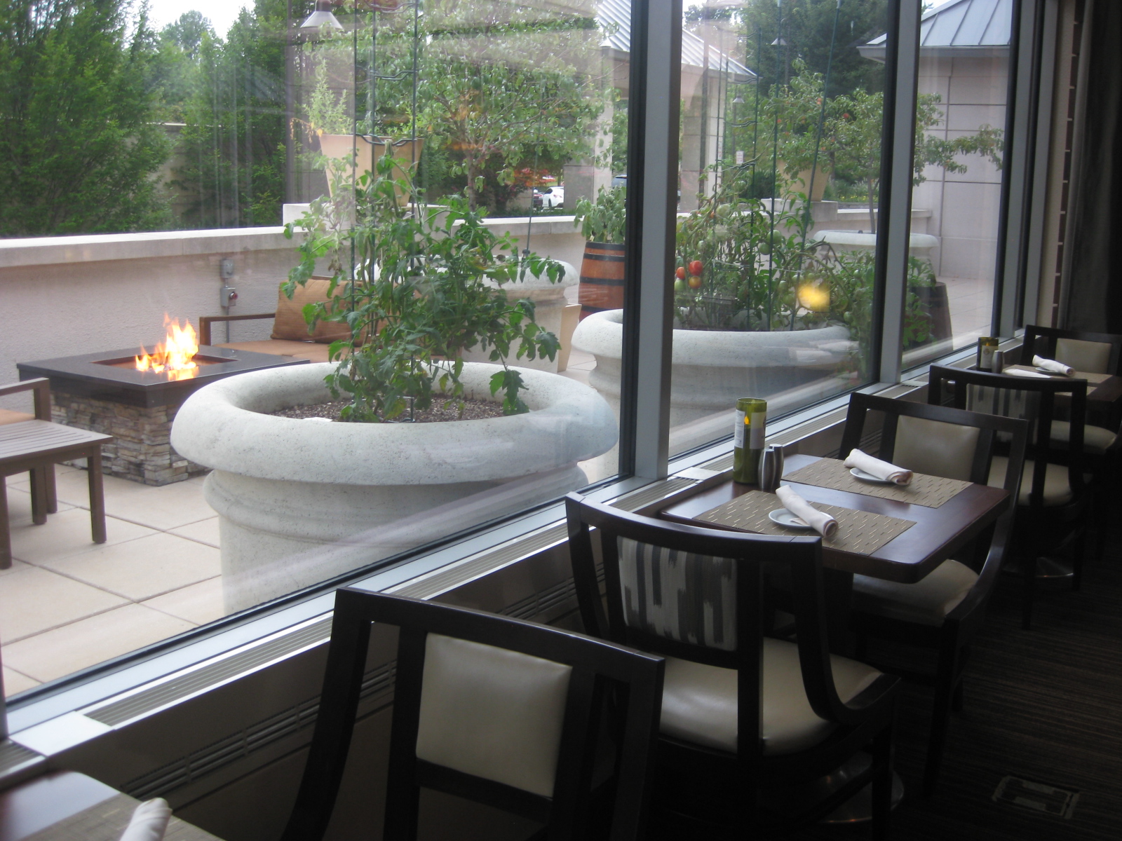 Northern Virginia Restaurant Blog Vinifera Wine Bar & Bistro Reston, VA