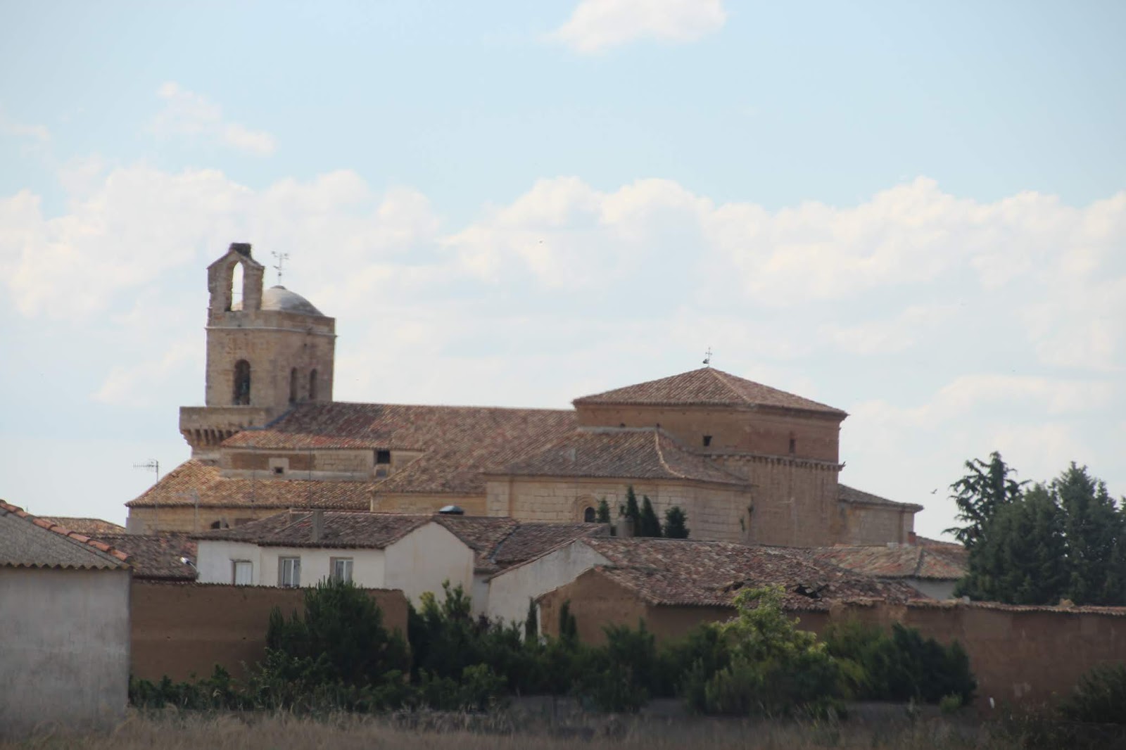 Historia y Genealogía Meneses de Campos y Montealegre de Campos. Palencia