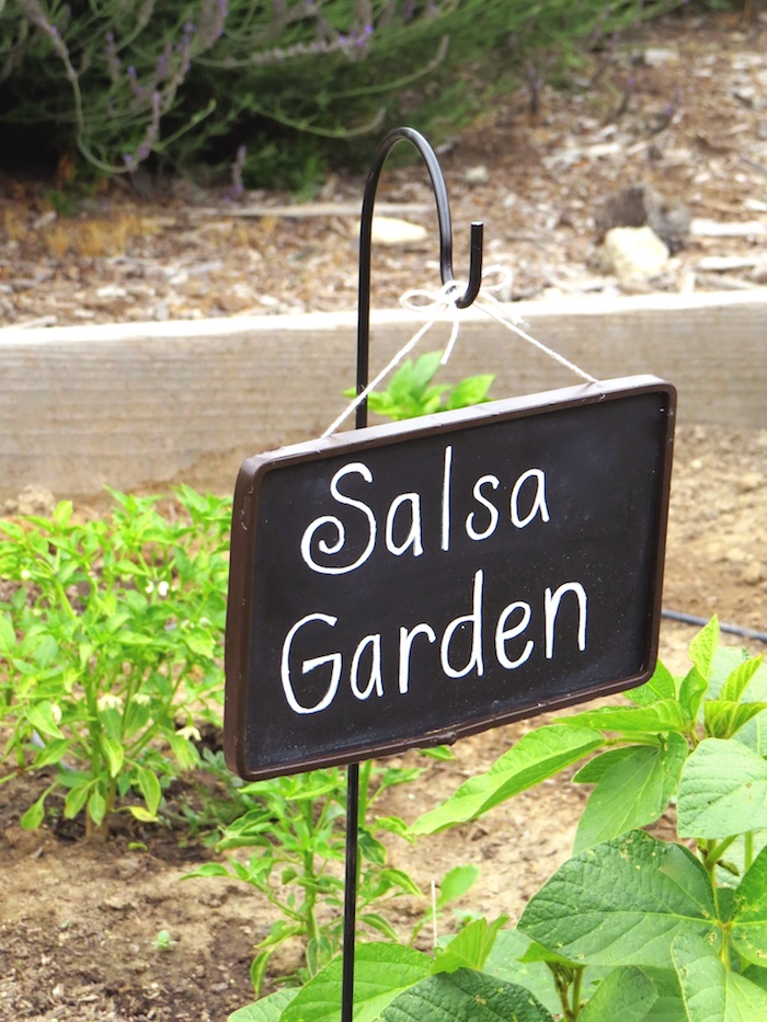 Salsa Garden