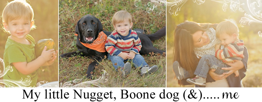 A Little Nugget, Boone dog &...and Me