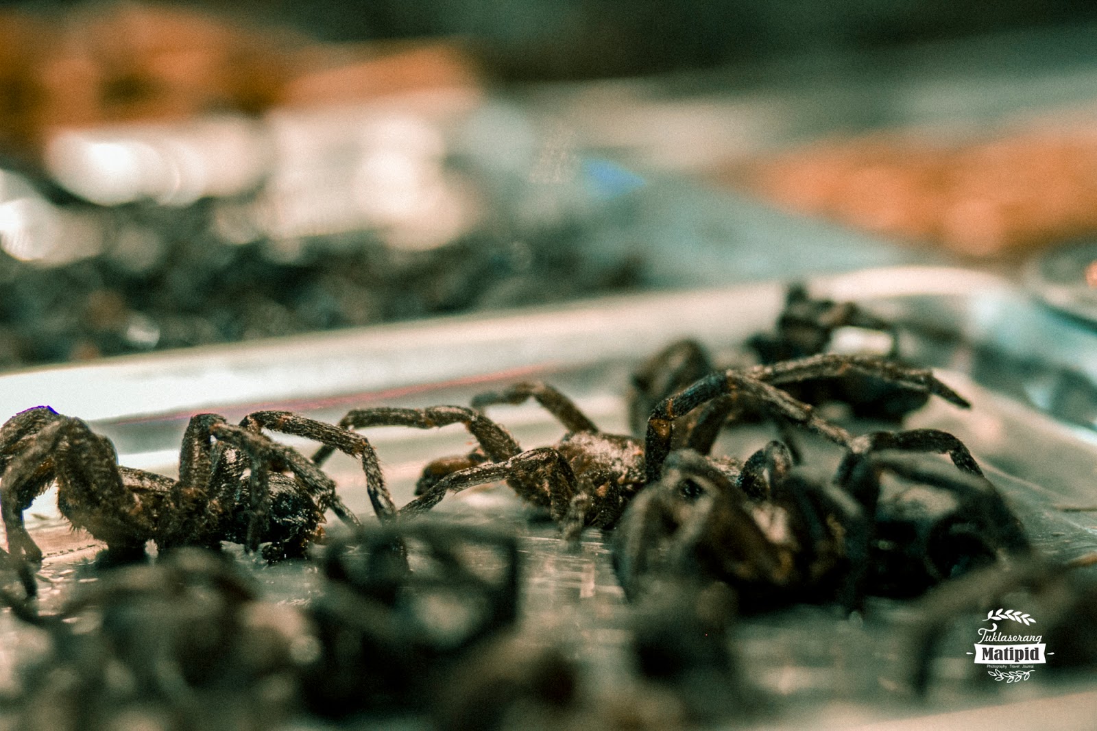 Cambodian exotic foods Fried tarantulas