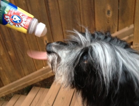Dog Treat Dispenser >> To Dog With Love: Lick it! Like it! Win it! Lickety Stick Dog Treat Giveaway Dog Treat Dispenser >> To Dog With Love: Lick it! Like it! Win it! Lickety Stick Dog Treat Giveaway