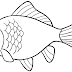 10 Mewarnai Gambar Ikan Mas