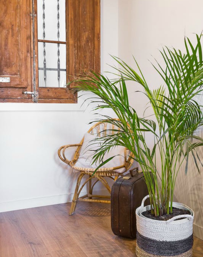 La casa de una blogger en el corazón de Barcelona