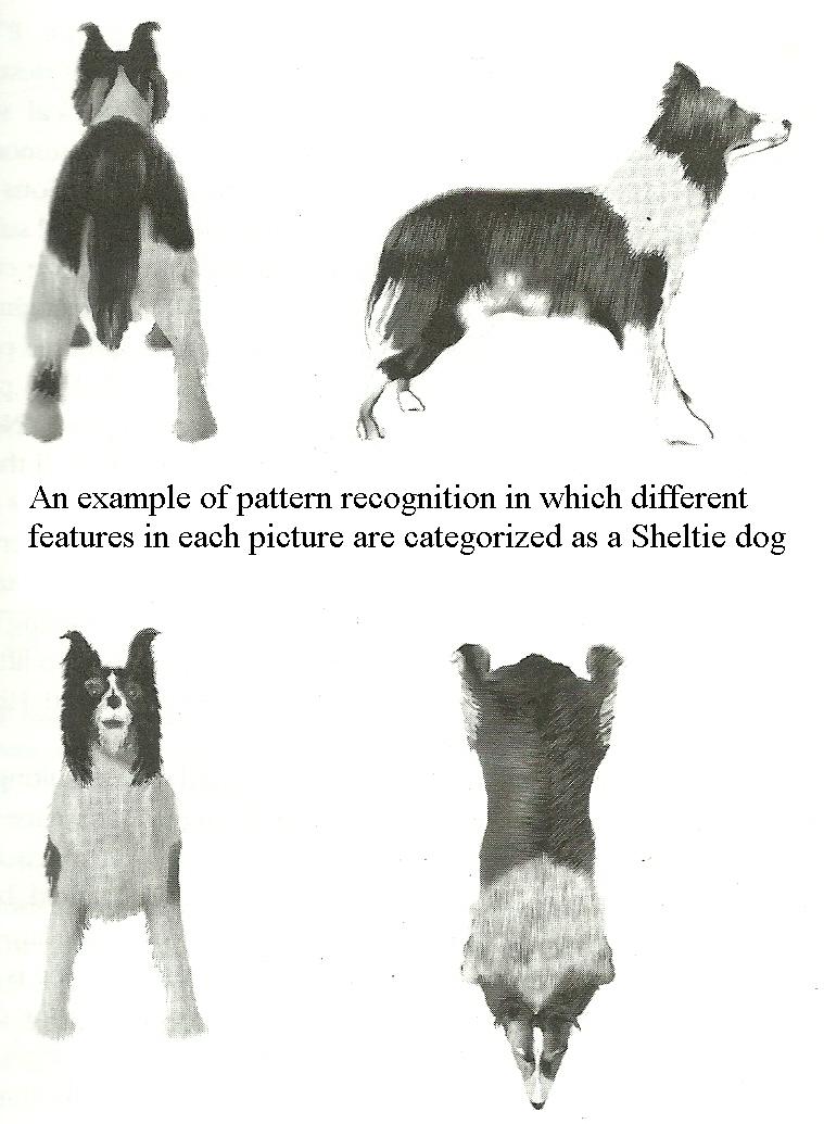 mind-cognitive-aspects-of-margret-thatcher-illusion