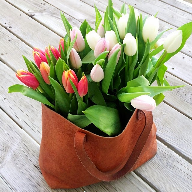 perfect tulips