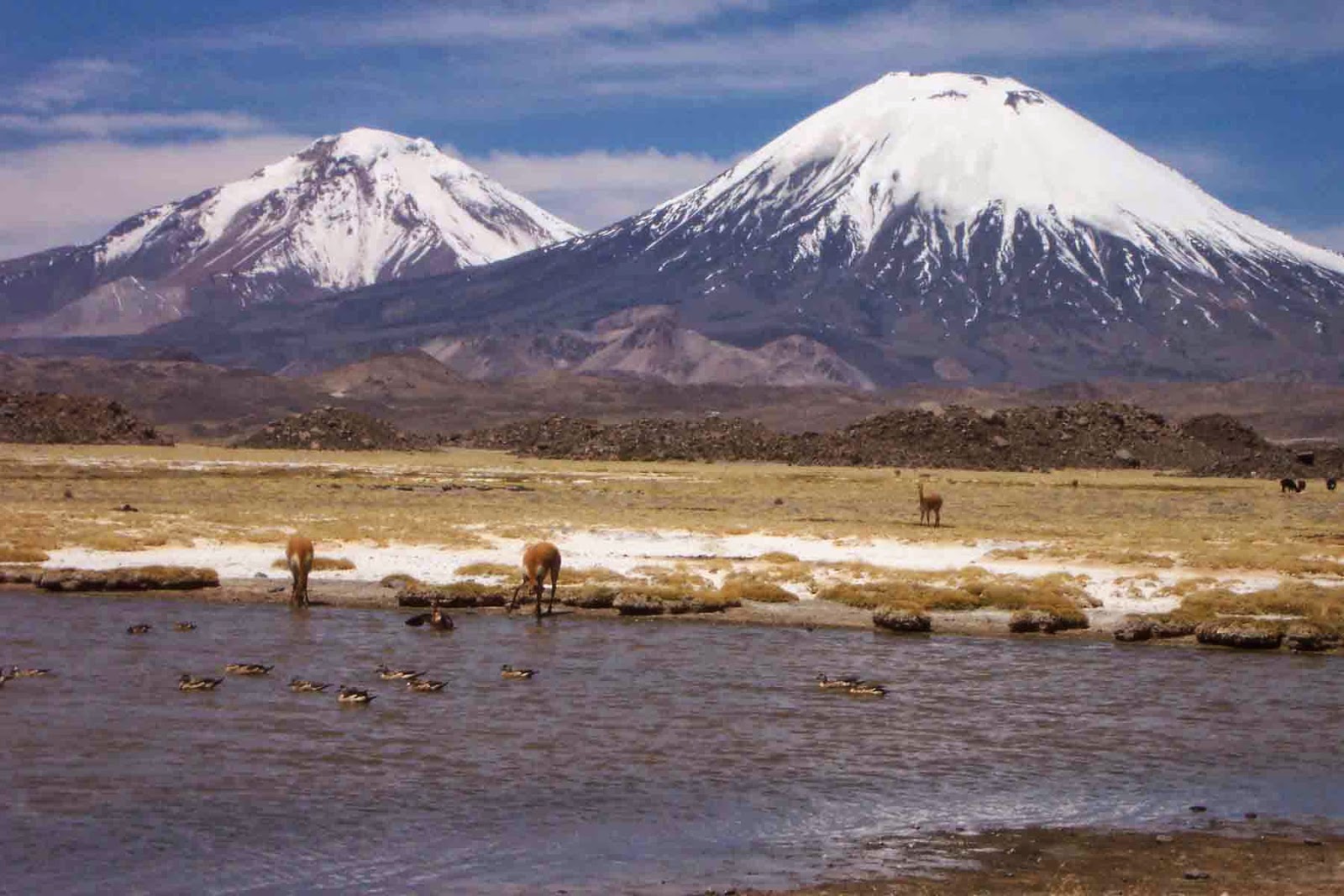 Montaaa Mas Alta De Bolivia