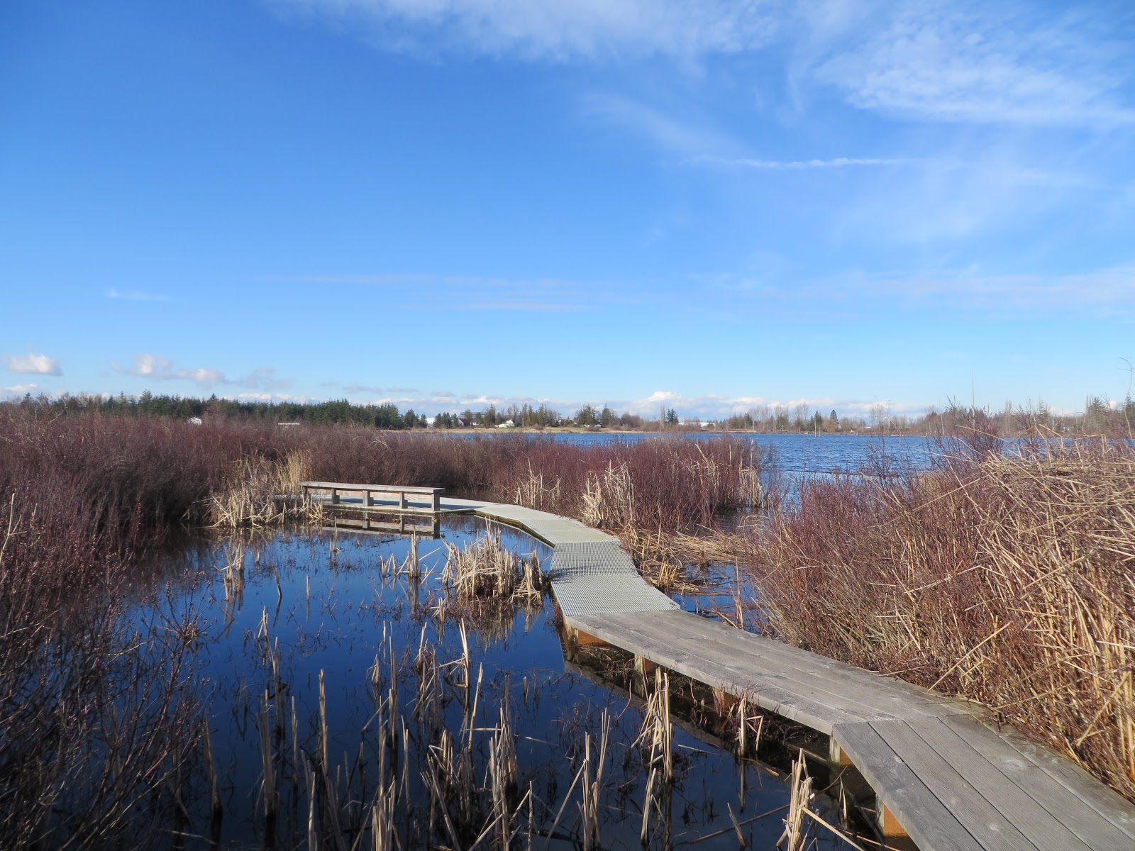 Exploring County & Beyond Tennant Lake Boardwalk Trail